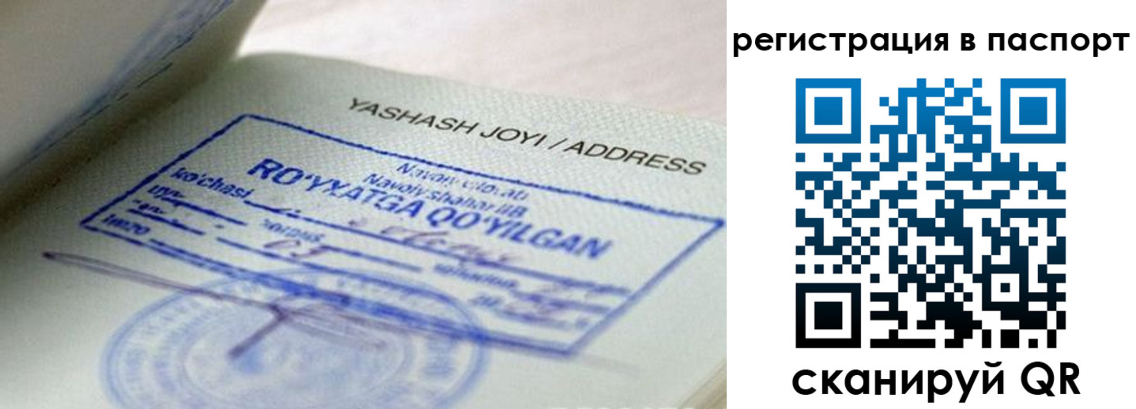 временная регистрация надежно в Светлогорске